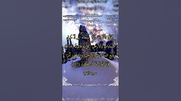 وقالوا اتخذ الله ولدا سبحانه #سورة_البقرة #الشيخ_بدر_التركي #أحمد_طالب