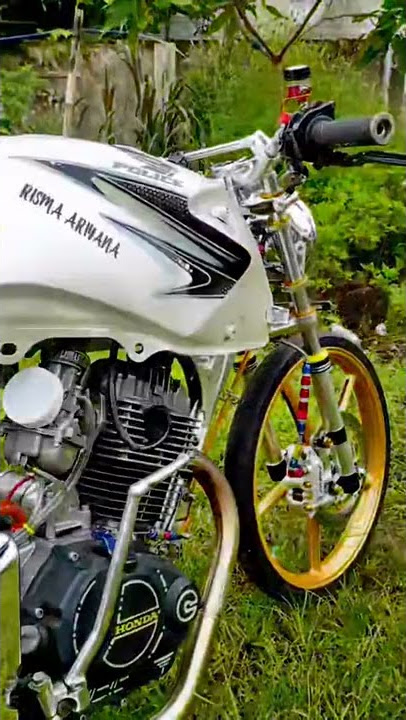 setory wa`cinematic motor tiger//mp tiger#shorts #herex200cc