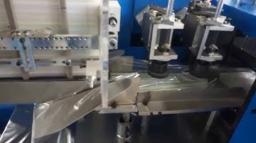Multiple straw packing machine
