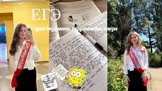 видео: Как я сдавала ЕГЭ в 2025 году?!✨📚 *Результаты* Английский, обществознание картинка: Как я сдавала ЕГЭ в 2025 году?!✨📚 *Результаты* Английский, обществознание
