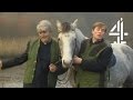 Father Ted | My Lovely Horse | Channel 4