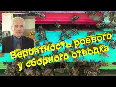 Профессор Кашковский про