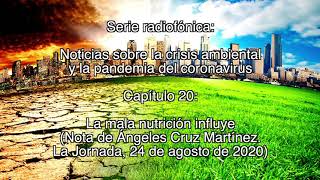 La mala nutrición influye / Noticias sobre la crisis ambiental y la pandemia del coronavirus