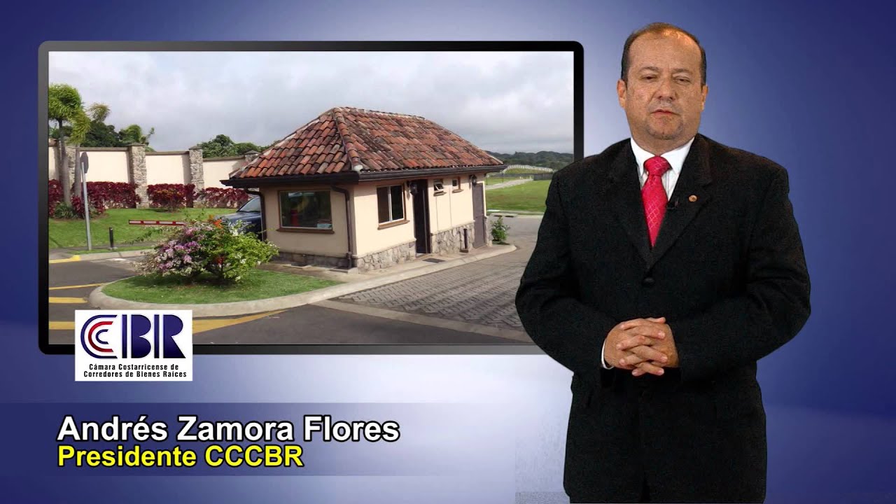 Andres zamora real estate