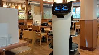 【猫ロボット】🇯🇵しゃぶ葉ロボットフロアサービス🤖肉注文してみた🥩