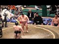 炎鵬!