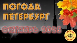 видео: 2025.10.22. Погода Петербург. 09:05. +1°. Дочь в школу я на работу. Проблема не в проблеме, а в вас. картинка: 2025.10.22. Погода Петербург. 09:05. +1°. Дочь в школу я на работу. Проблема не в проблеме, а в вас.