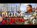 В честь КОГО назван СИДОРОВИЧ? | ПАСХАЛКИ и БАГИ S.T.A.L.K.E.R.: Тень Чернобыля [#21]