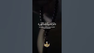 واذكر ربك في نفسك تضرعا وخيفة ودون الجهر من القول بالغدو والآصال - سورة الأعراف - عبدالباسط عبدالصمد