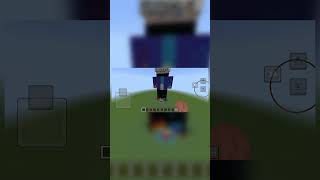 I am build man house in Minecraft