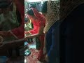 Tulsi arti