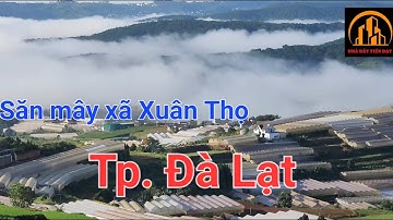 Săn mây xã Xuân Thọ, Tp. Đà Lạt ban ngày và ban đêm.