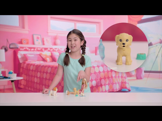 Imagem inicial do vídeo