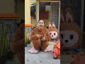 suara kambing kecil #shorts #funny