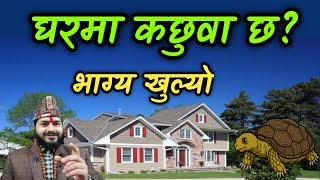 घरमा कछुवा छ ? भाग्य खुल्यो || धन ,आरोग्य र भाग्य उदयको लागि || Vastu Tips