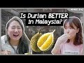 Is Durian Better in Malaysia? l #8YearChallenge l Member in KL ep.1