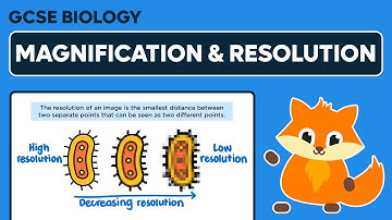 Magnification & Resolution - GCSE Biology
