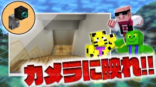 ワールドに設置された監視カメラを探し出せ！！【マイクラ】