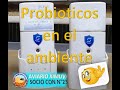 Difusores de probioticos en el aviario!!!