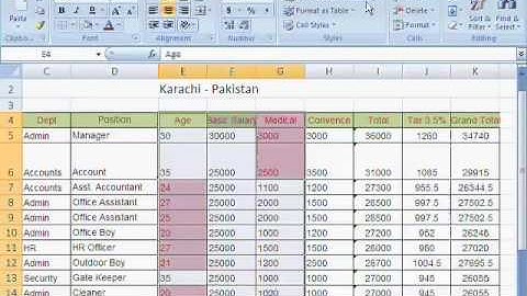 MS Excel 2007 Tutorial in Hindi - Conditional Formatting, Format as Table, Cell Styles