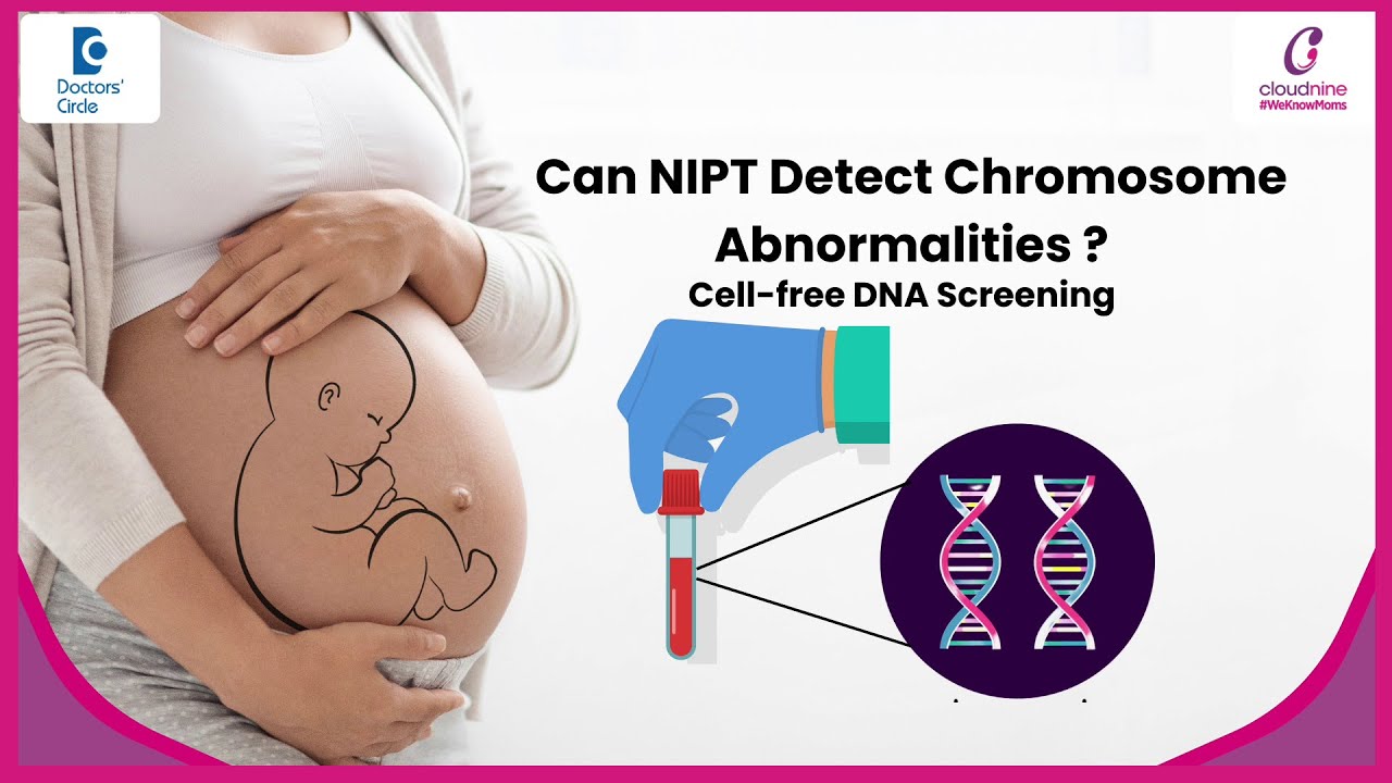 Pregnancy 10 week Test to detect Chromosome defect|Cell free DNA|NIPT ...