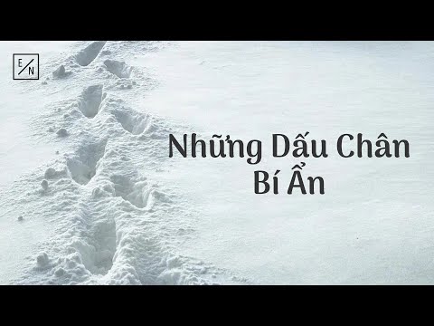 Những Dấu Chân Bí Ẩn
