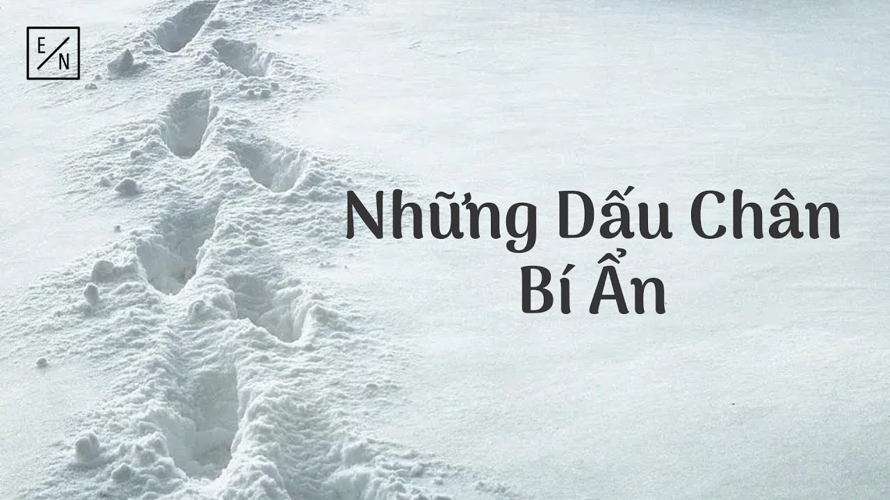 Таинственные следы