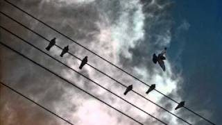 Billa Qause - I Got Music In The Air