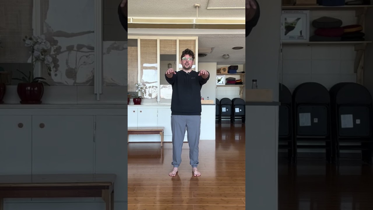 Wu Style Short Form - Tai Chi Opening part 2