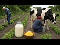 Traditional Village Harvest | Picking  + Rose Jam &amp; Cow Milking (ASMR)