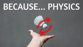 Why These 3 Sports Use THESE Balls - Physics behind Sport by Parth G