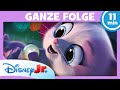 Die SuperKitties Und Der Talentierte Unruhestifter GANZE FOLGE 3 SuperKitties