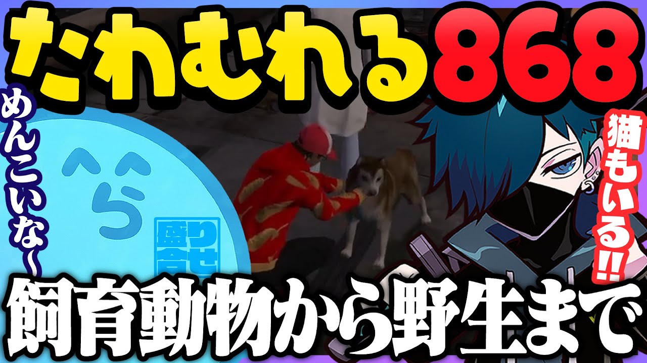7点セット】レダー ヨージロー・ケイン/オー・ジョシュア・マーキル