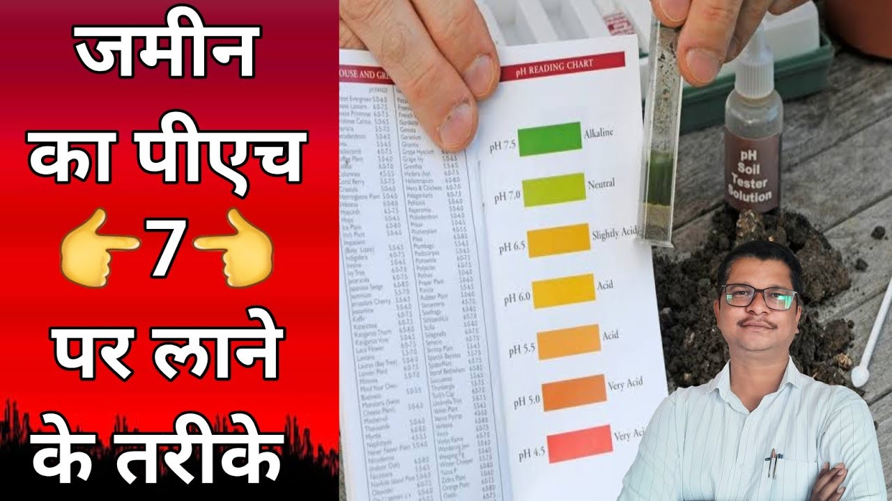 जमीन का पी एच का 7 पर लाने के तरीके । soil ph
