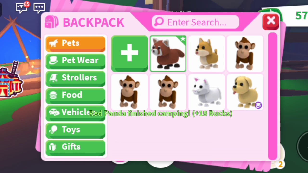 редкие петы в адопт ми. старпетс роблокс. старт петс адопт. стартпет скрины петов в корзиге. девочка есть в инстаграме которая продает петов в adopt me.