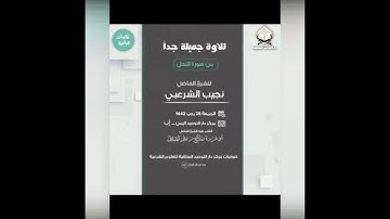 تلاوه تفوق الوصف الشيخ الفاضل/ نجيب الشرعبي حفظه الله ورعاه