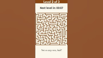 Maze Puzzle Brain Game: Can You Solve All 3 Levels? 🧩