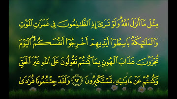 عبدالرحمن السديس - سورة الأنعام (91 ~ 94)