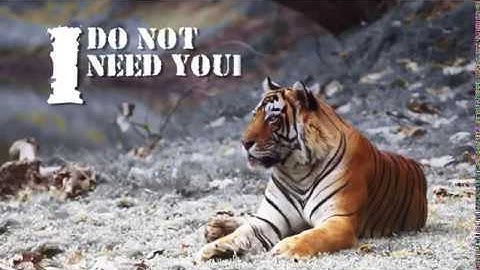 Prakratik Society : Creating sustainable livelihoods