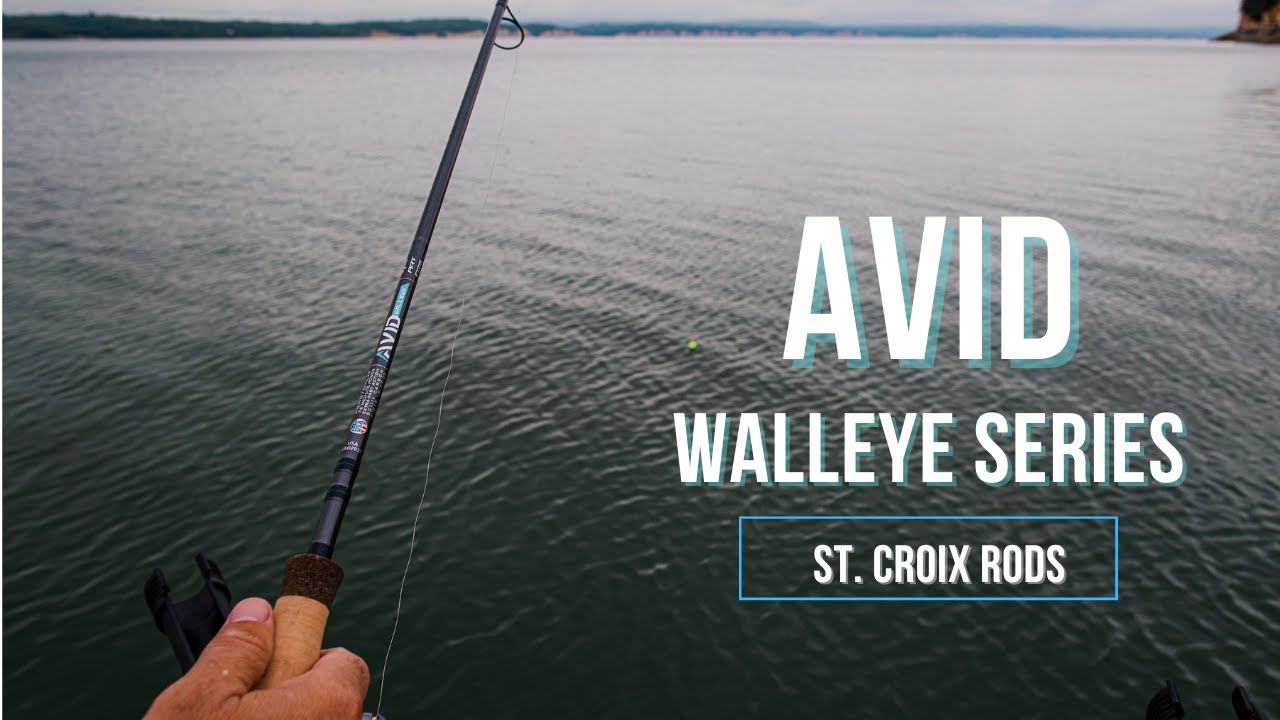 st croix avid walleye rods Avid Walleye Series Rod
