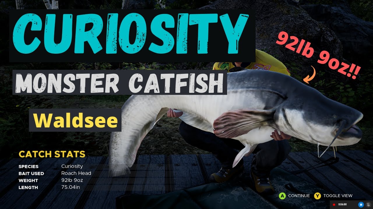 Curiosity the 92lb Catfish in Waldsee - Fishing Sim World Pro Tour 2020 