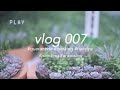 vlog 007 - quarantine, cooking, hairdye, painting, unboxing