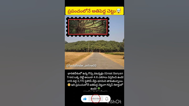 ప్రపంచంలోనే అతి పెద్ద చెట్టు🤯#trending #youtubeshorts #facts #viral #ytviral #tree #earth #old #one