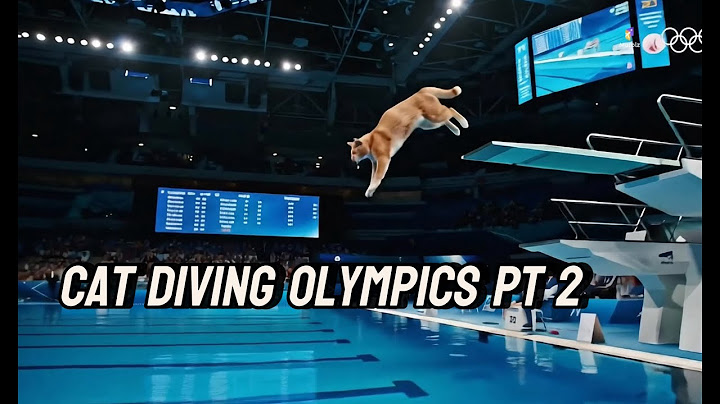 Cat Diving Olympics Pt.2 | AI Cat Olympics | Veo3 AI-Generated Fantasy Sports