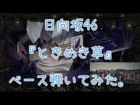 日向坂46『ときめき草』ベース弾いてみた。