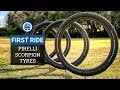 Equal Performance In The Wet or Dry (Sort Of) | Pirelli Scorpion MTB Tyres