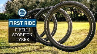 Equal Performance In The Wet or Dry (Sort Of) | Pirelli Scorpion MTB Tyres screenshot 5