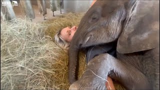 The Cutest Cuddles with Baby Elephant Phabeni & His Human Mother