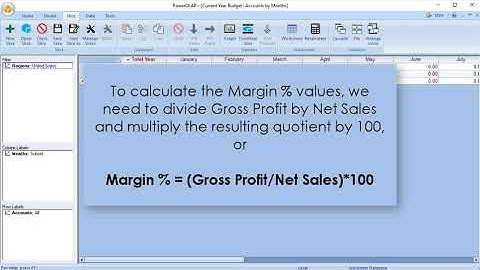 PowerOLAP QuickStart Video 4 - Formulas