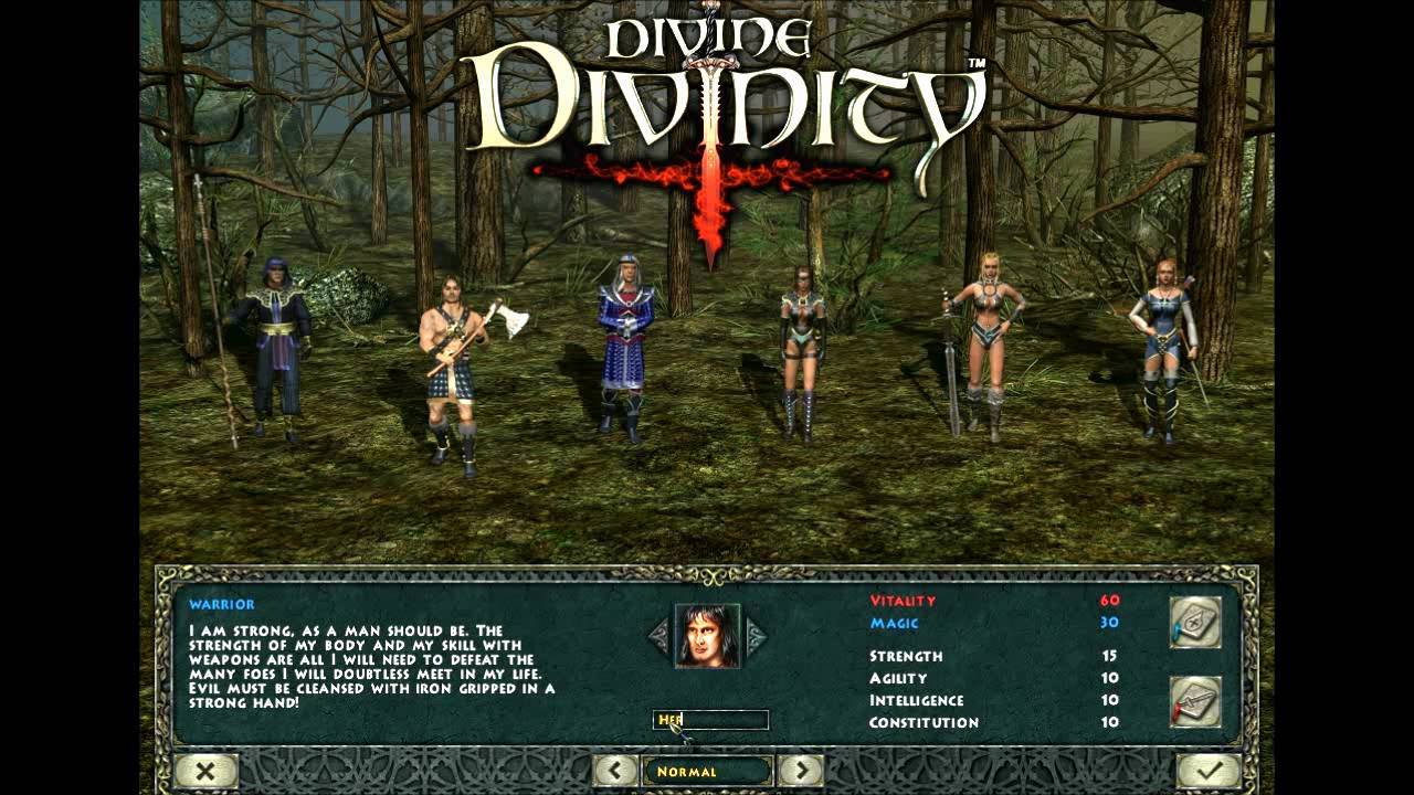 Pc Game Divinity